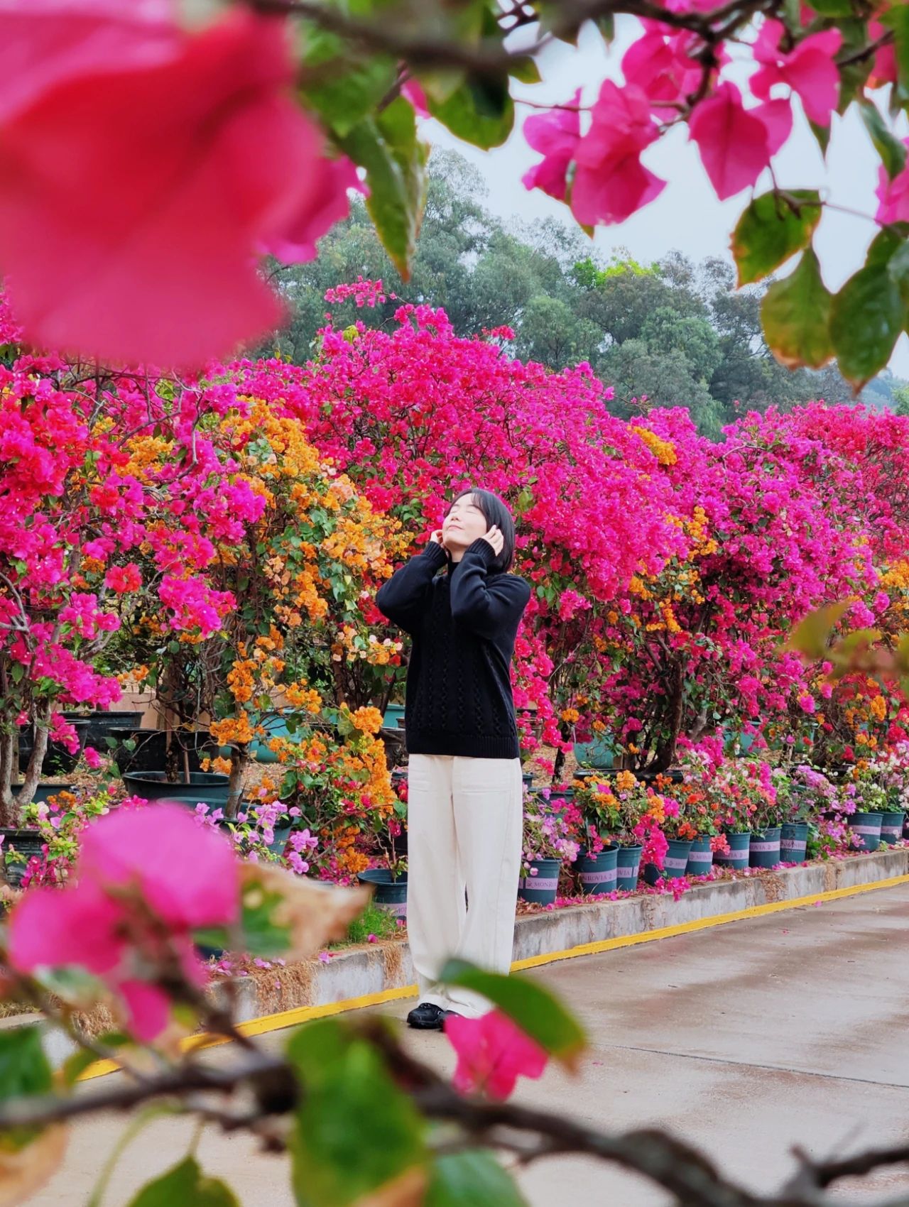 Shenzhen's Monet's Garden, Lotus Hill Park's Yuxiu Garden