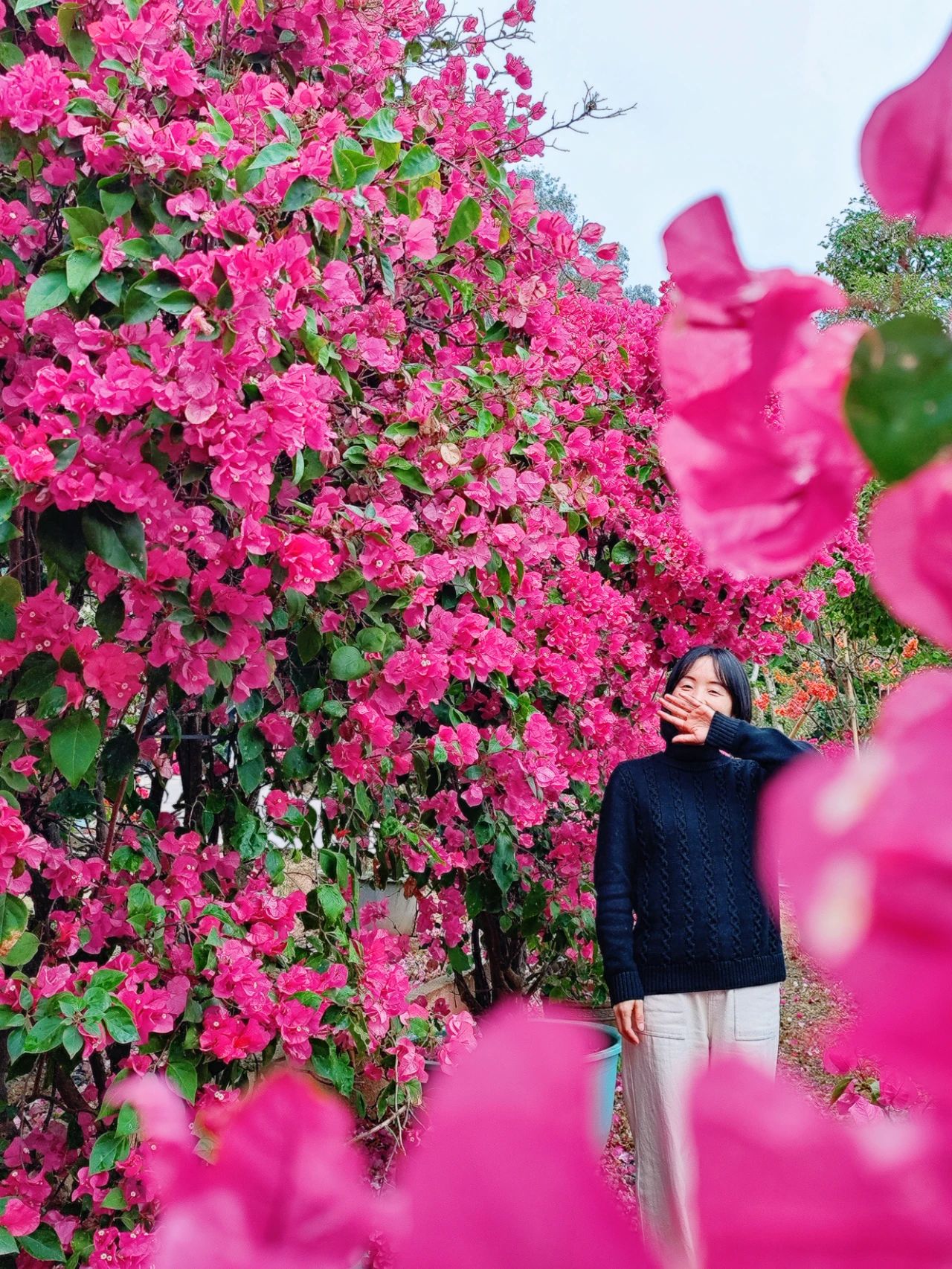 Shenzhen's Monet's Garden, Lotus Hill Park's Yuxiu Garden