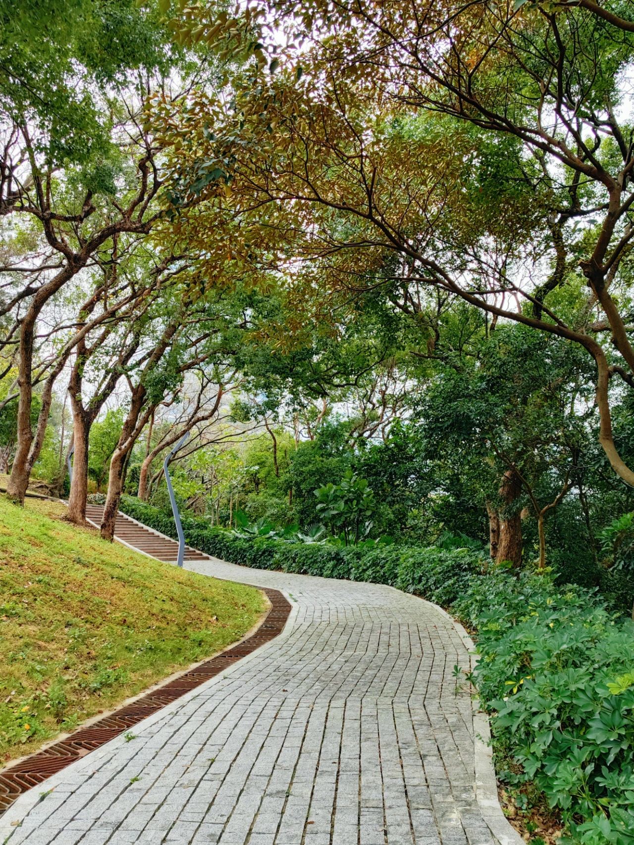 Yandun Mountain International Friendship Park, a niche to see the sea park