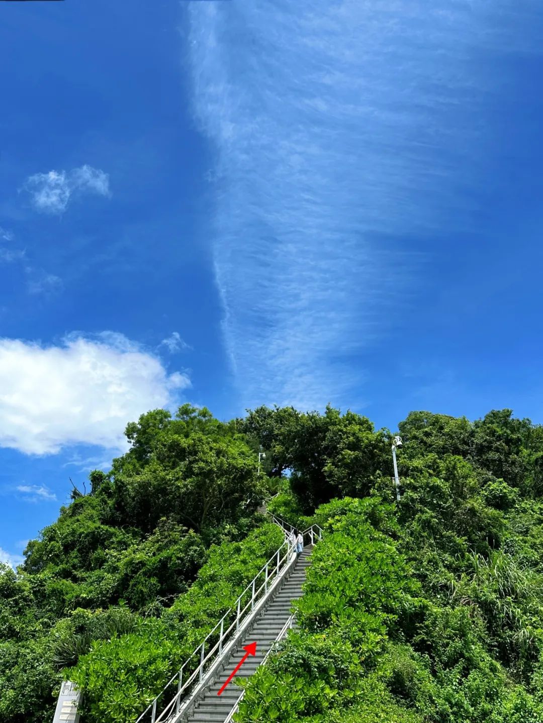 Dameisha Seaside Trestle, So beautiful