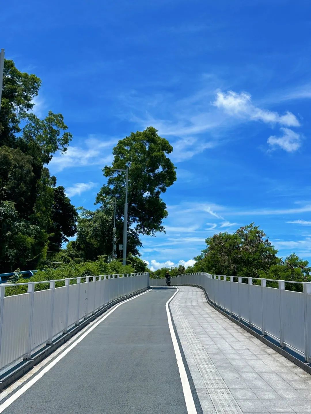 Dameisha Seaside Trestle, So beautiful