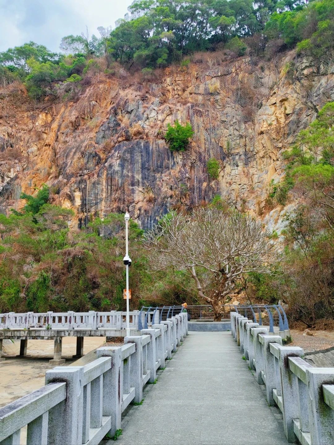 Shenzhen Treasure Forest, A Day of Healing from Nature