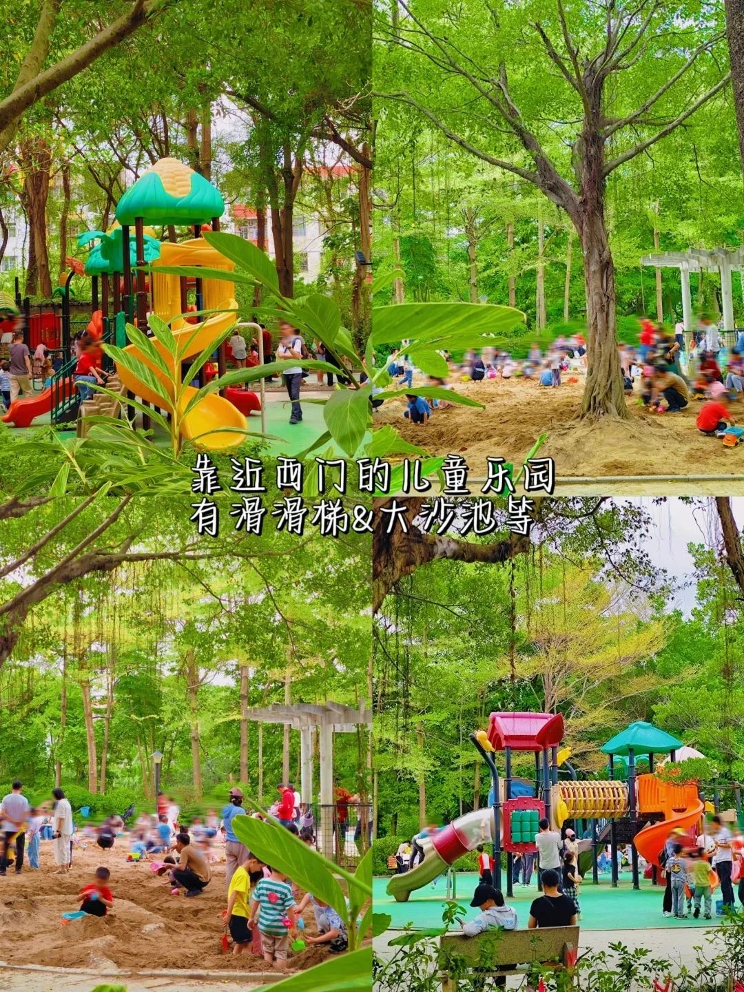 Shenzhen Treasure Forest, A Day of Healing from Nature