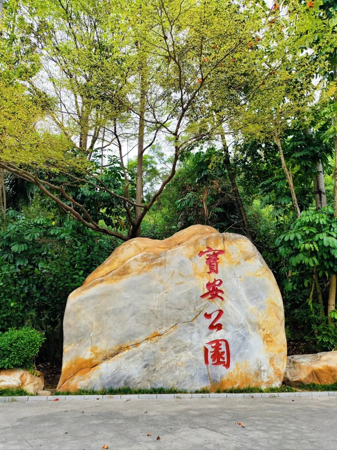 Shenzhen Treasure Forest, A Day of Healing from Nature