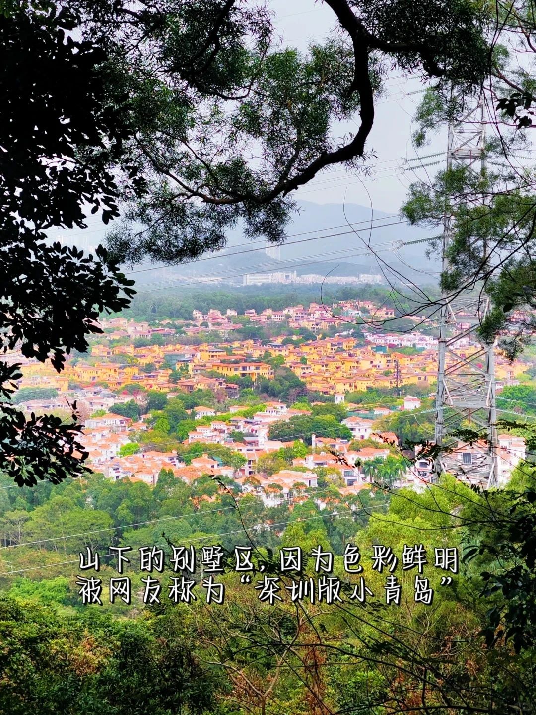 Shenzhen Treasure Forest, A Day of Healing from Nature