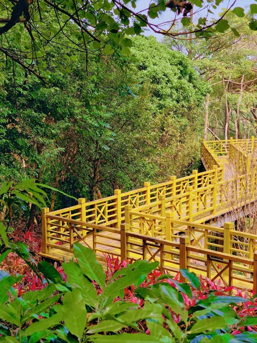 Shenzhen Treasure Forest, A Day of Healing from Nature