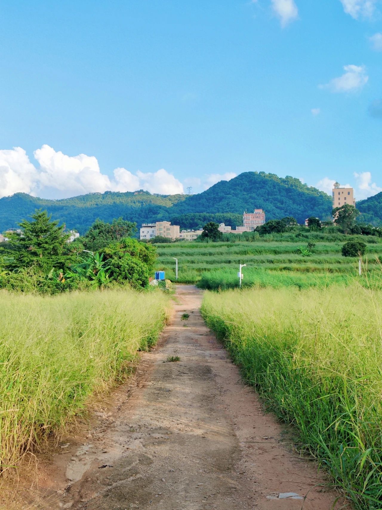 North of Jingkou Community Park