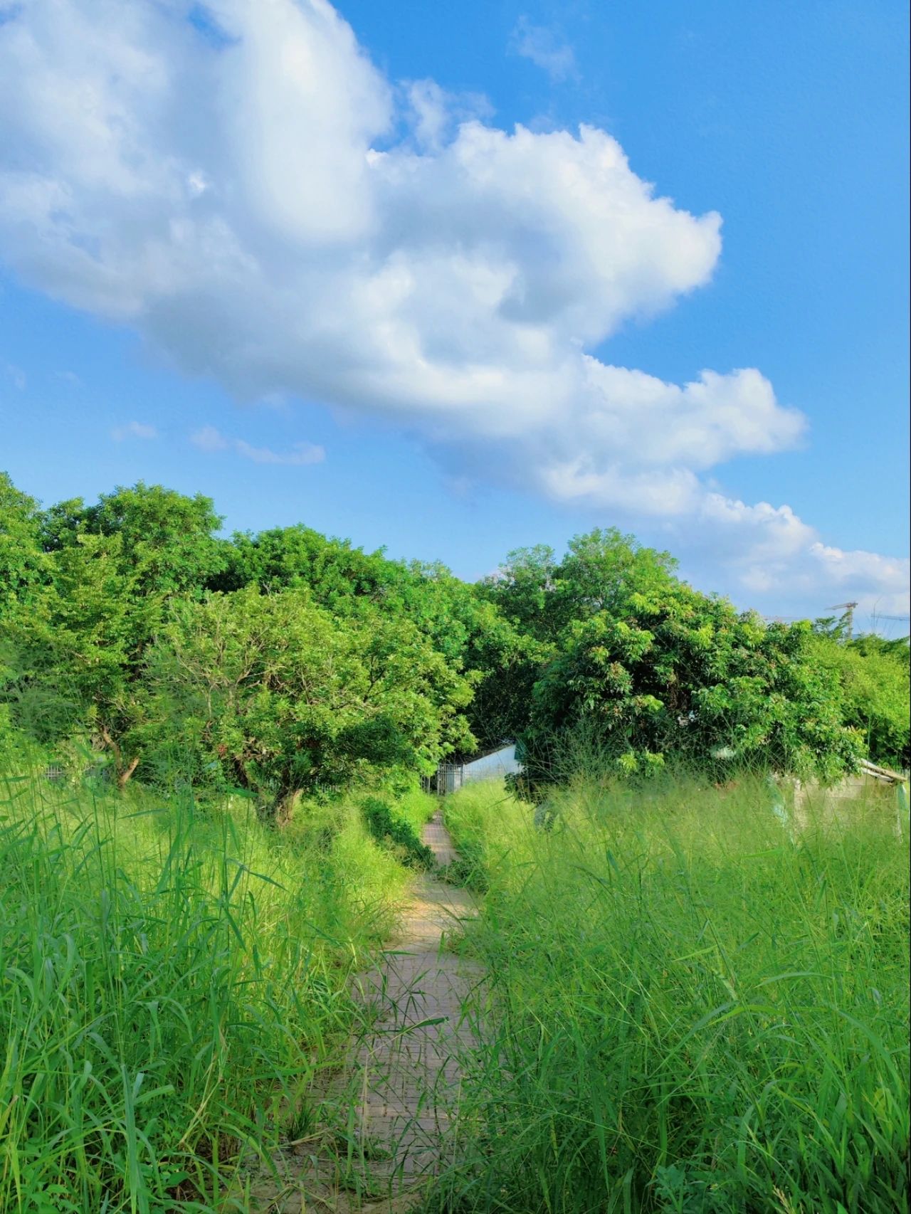 North of Jingkou Community Park