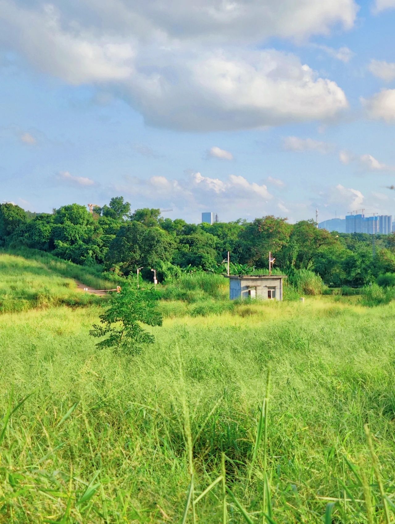 North of Jingkou Community Park