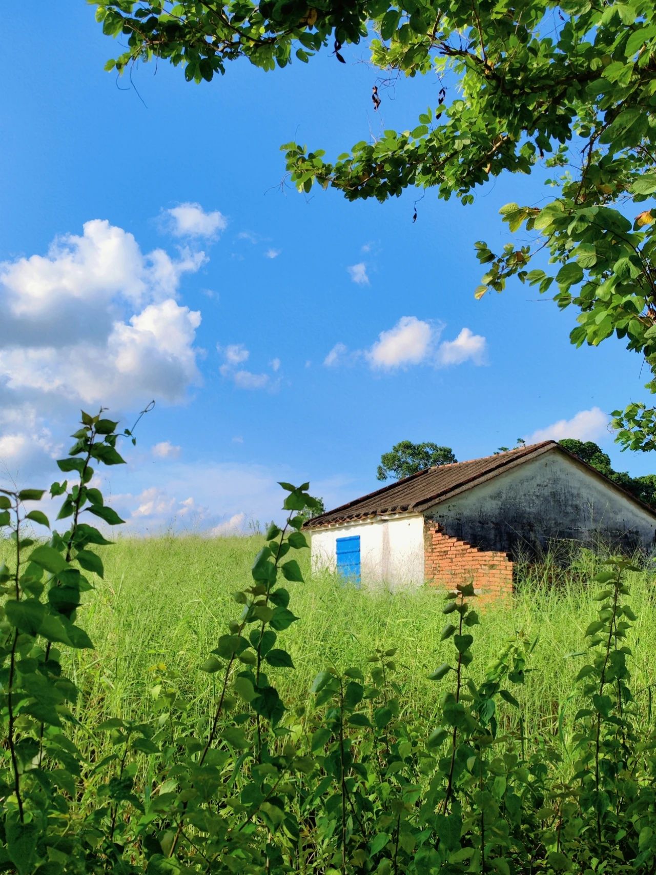 North of Jingkou Community Park