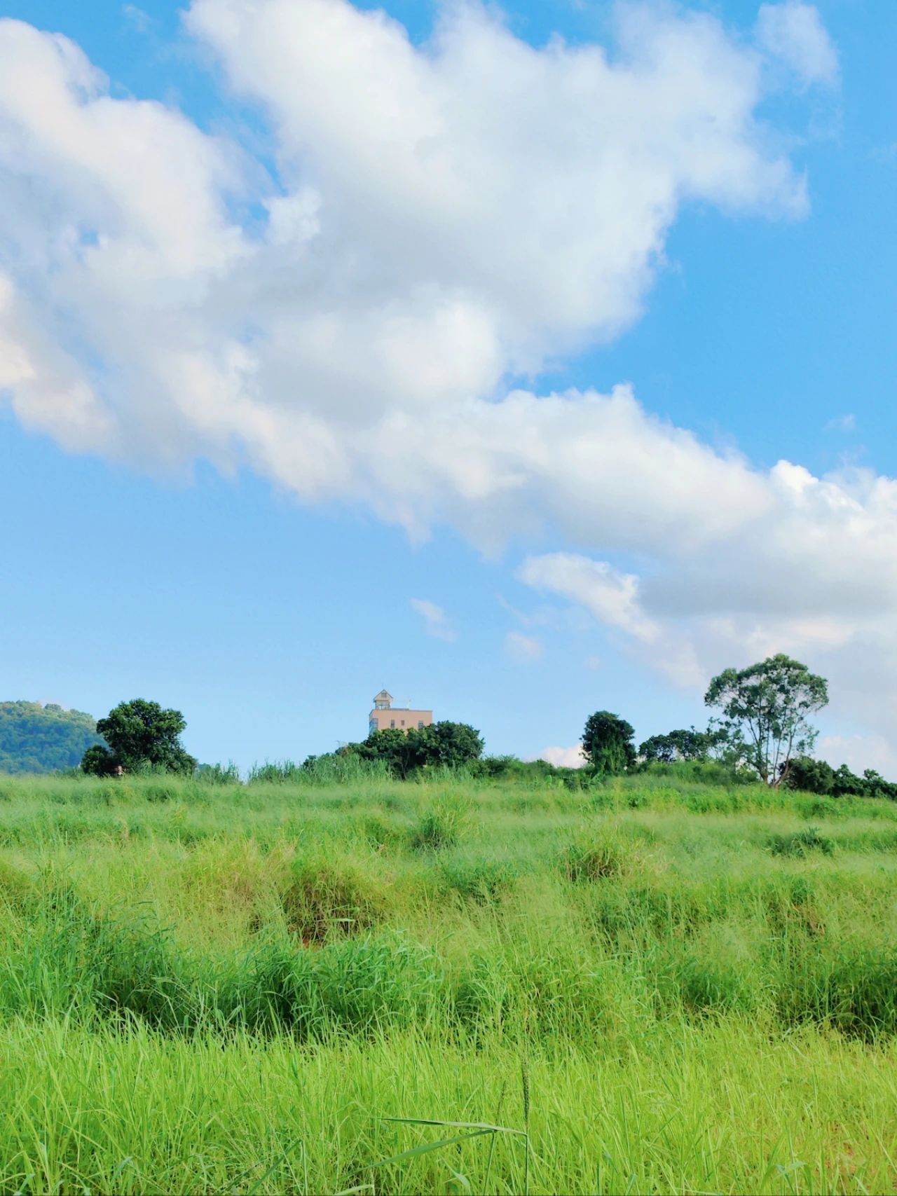 North of Jingkou Community Park