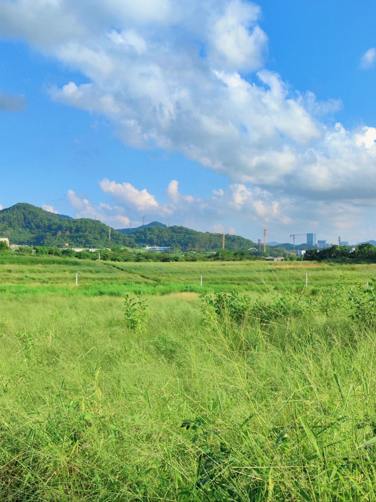 North of Jingkou Community Park