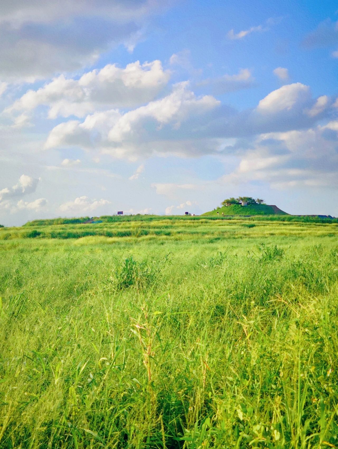 North of Jingkou Community Park