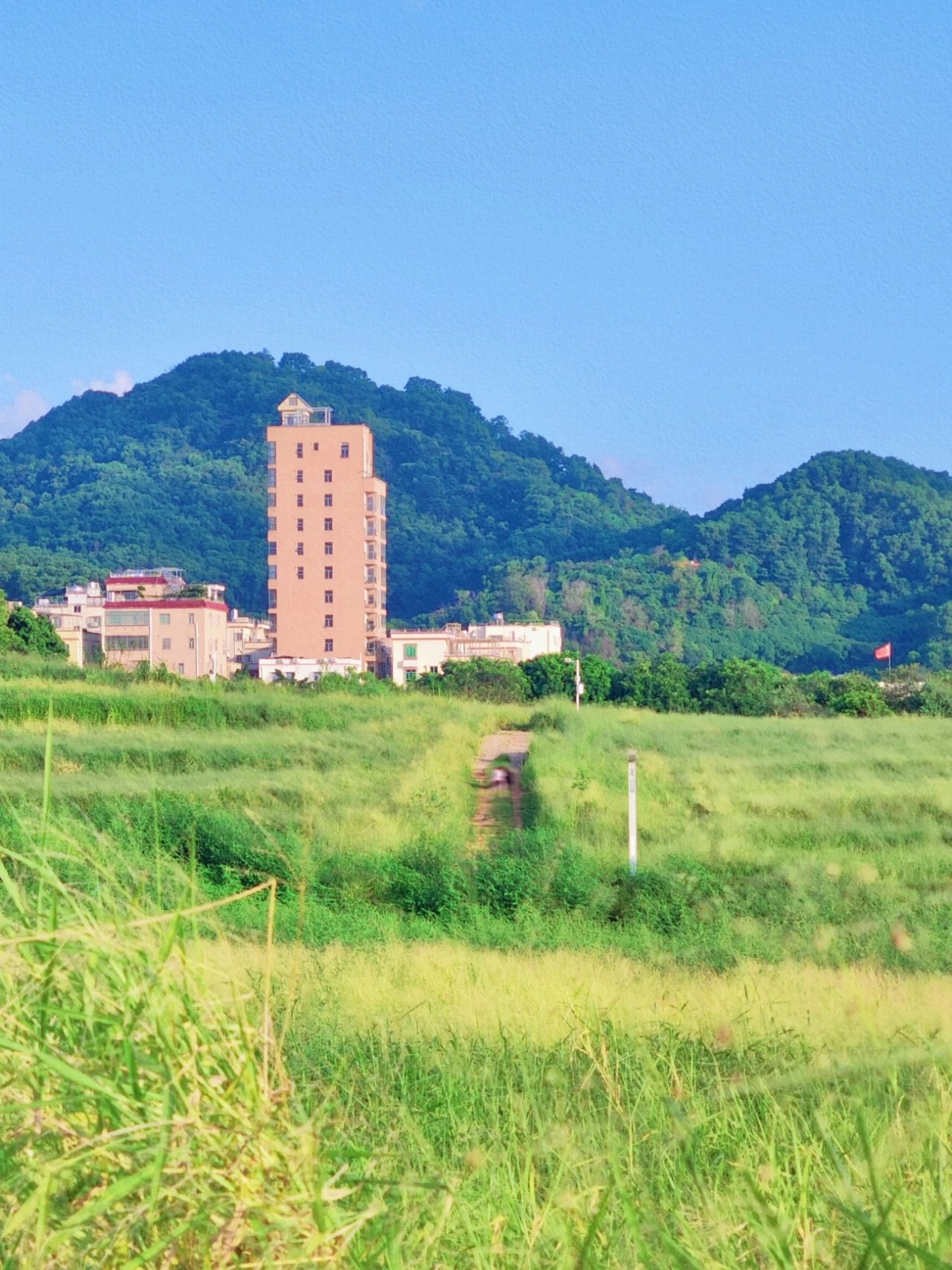 North of Jingkou Community Park