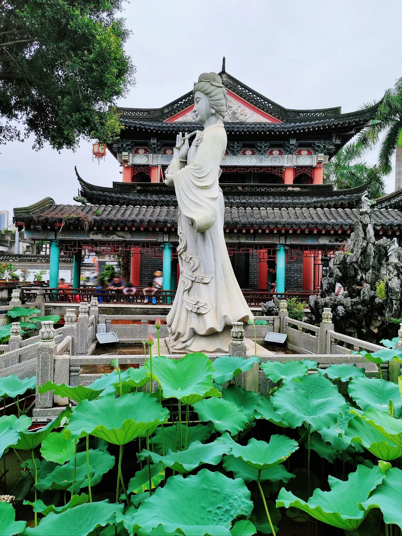 Shenzhen Wanjing Park, Lotus Blossom