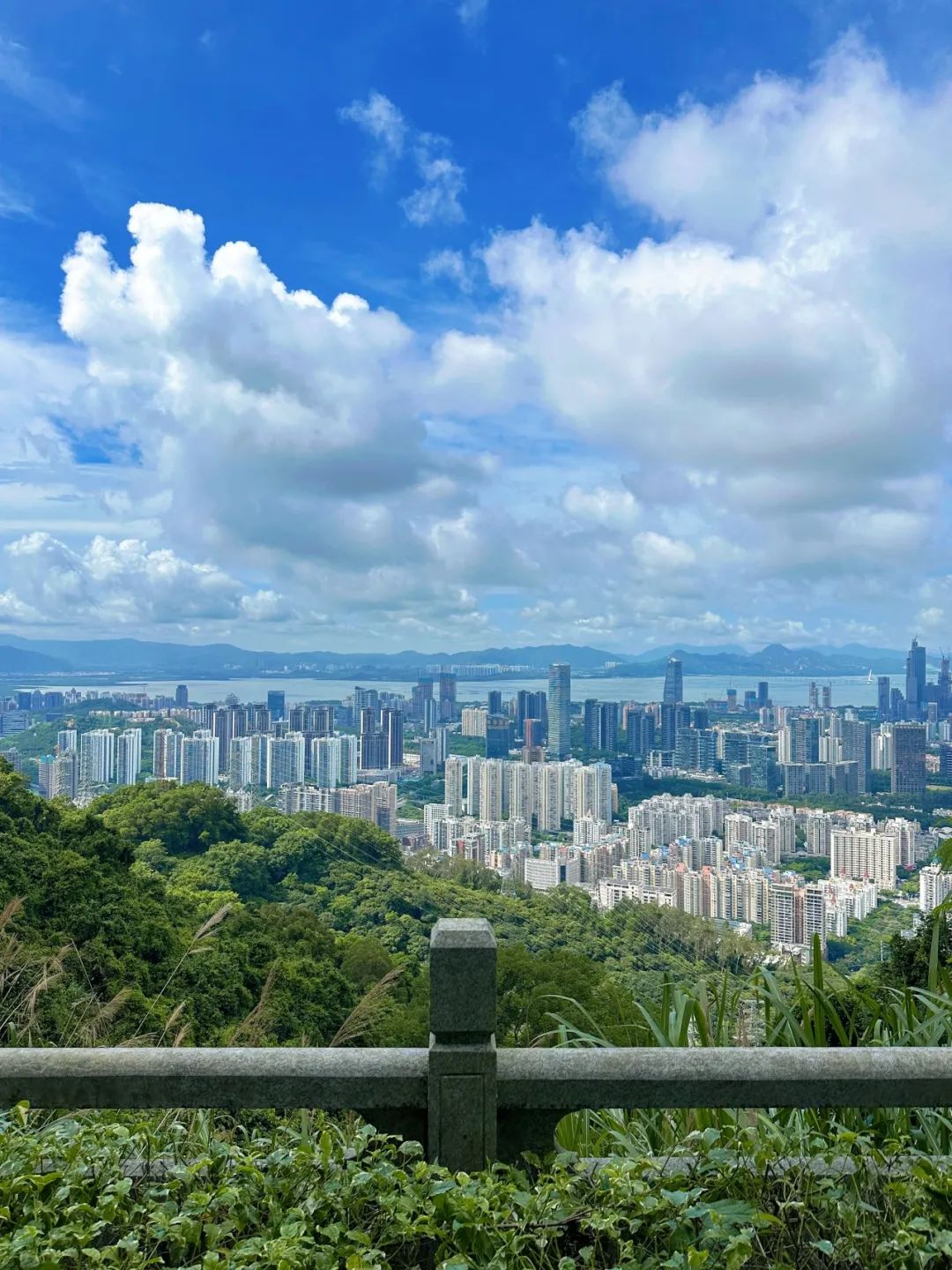 Shenzhen hiking丨so envious, people who live in Tanglang