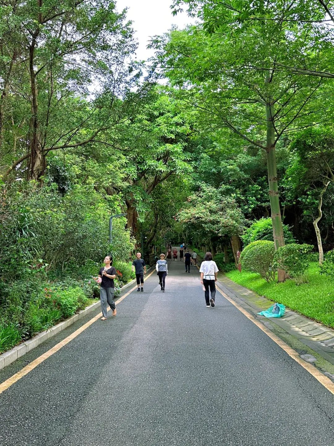 Shenzhen Tonglang Mountain Country Park