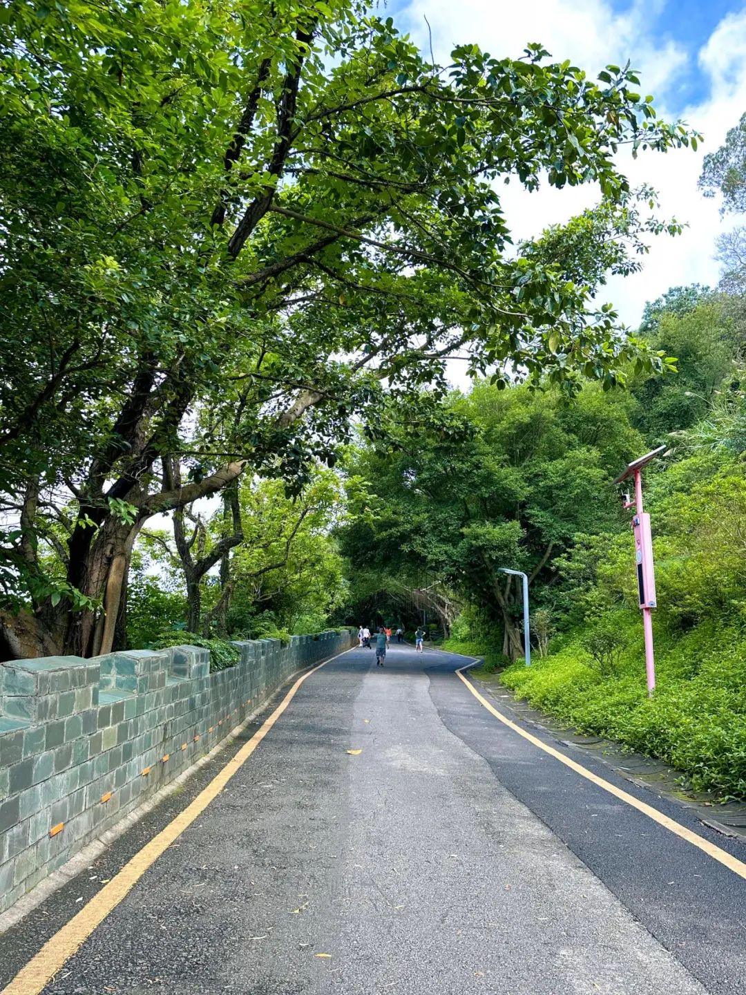 Shenzhen Tonglang Mountain Country Park