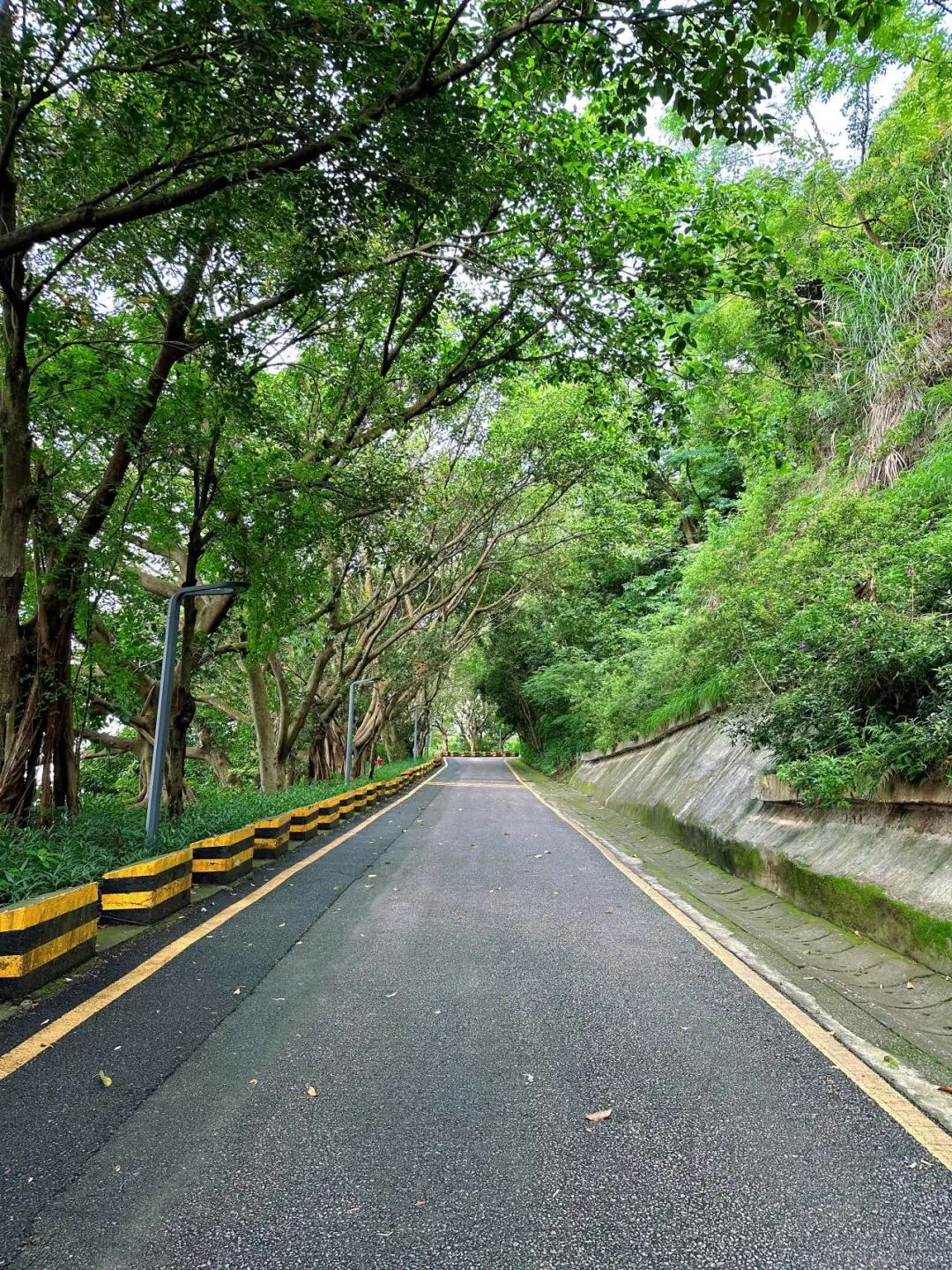 Shenzhen Tonglang Mountain Country Park