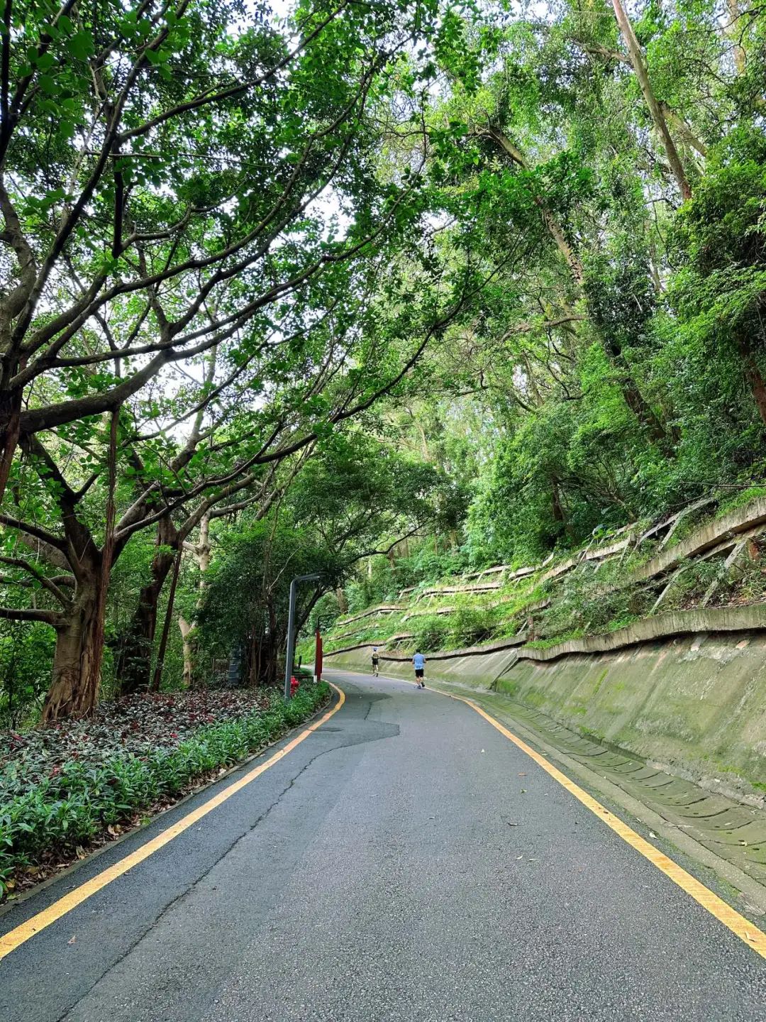 Shenzhen Tonglang Mountain Country Park