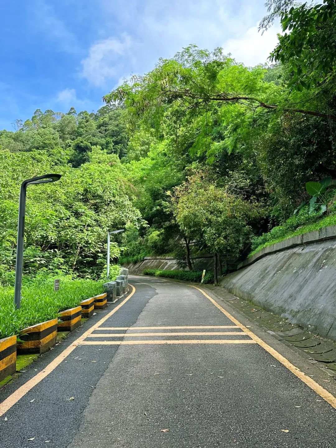 Shenzhen Tonglang Mountain Country Park