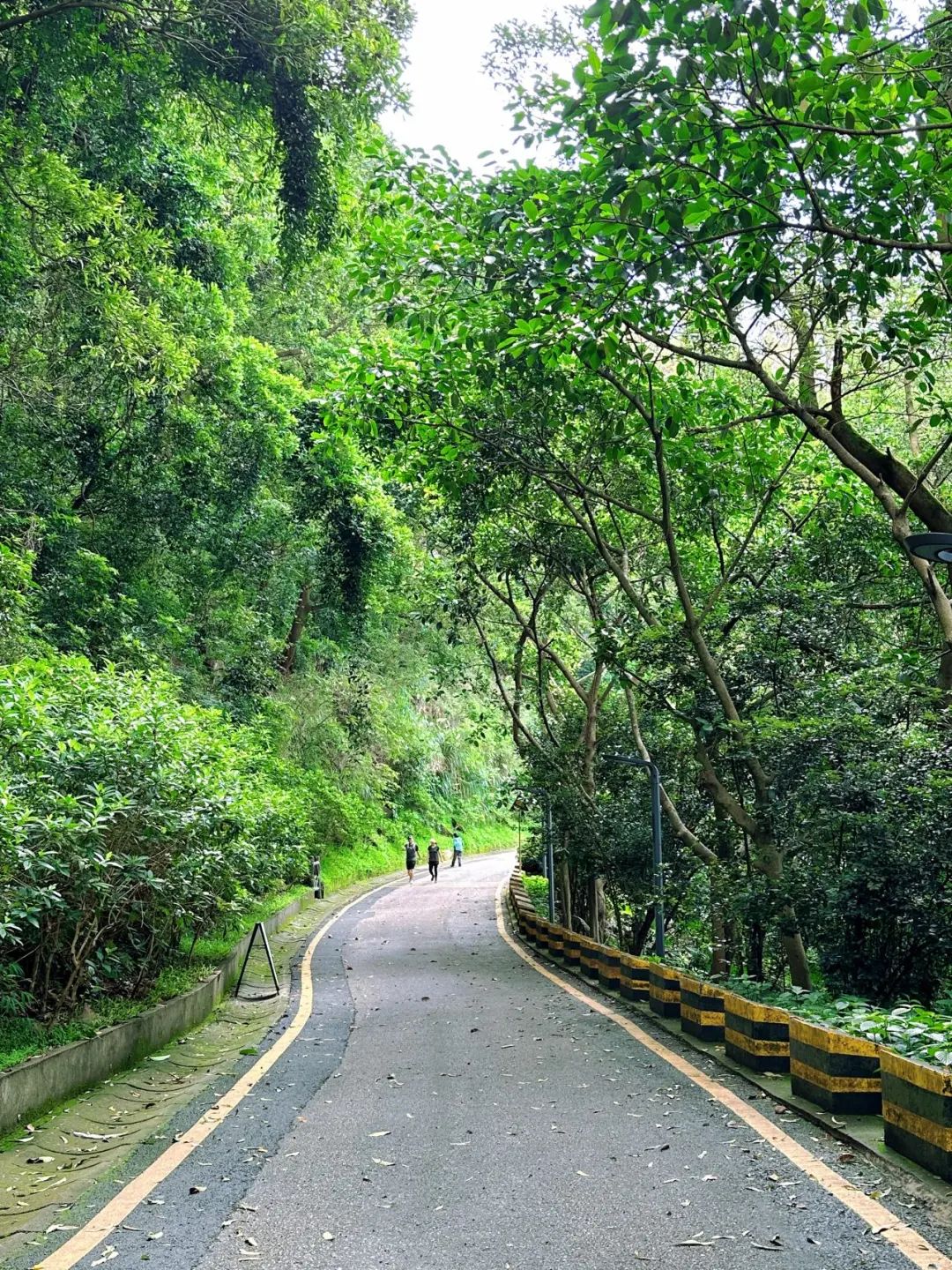 Shenzhen Tonglang Mountain Country Park