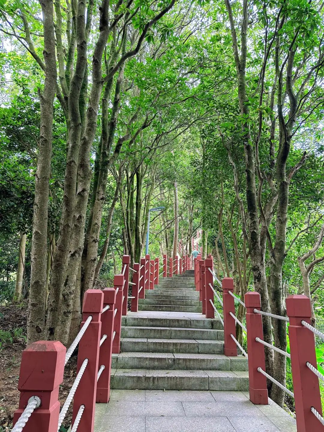 Shenzhen Tonglang Mountain Country Park