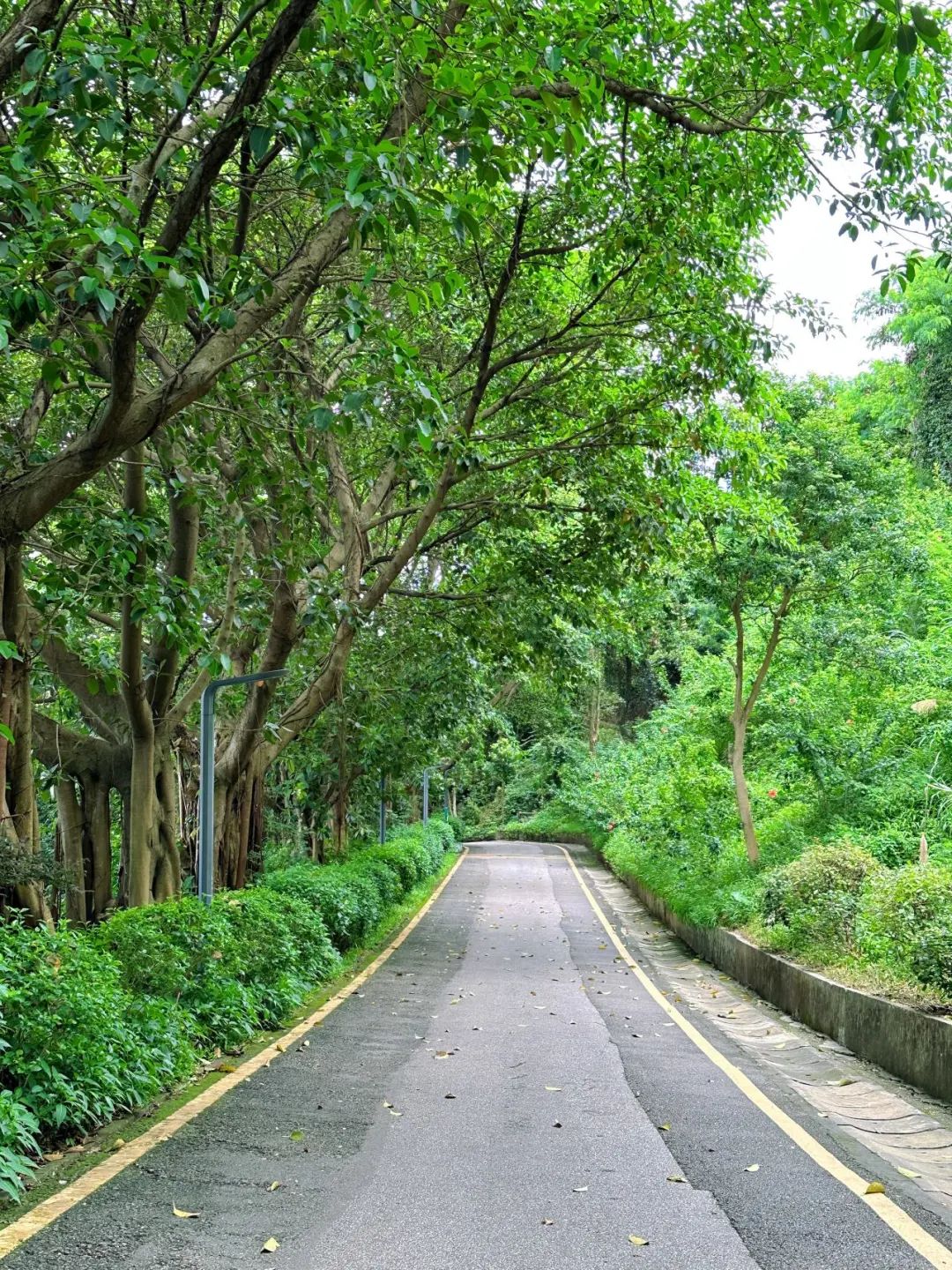 Shenzhen Tonglang Mountain Country Park