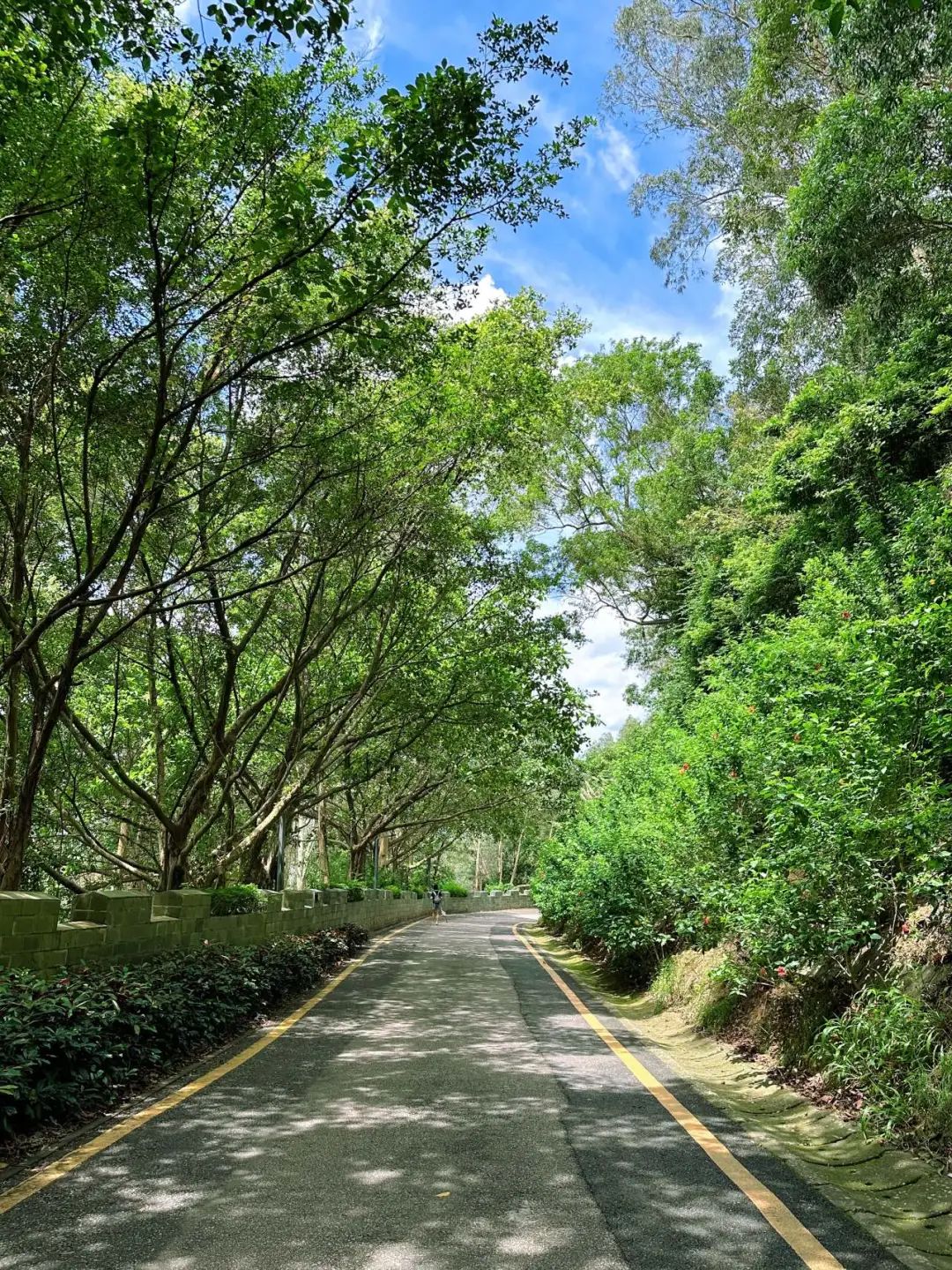 Shenzhen Tonglang Mountain Country Park