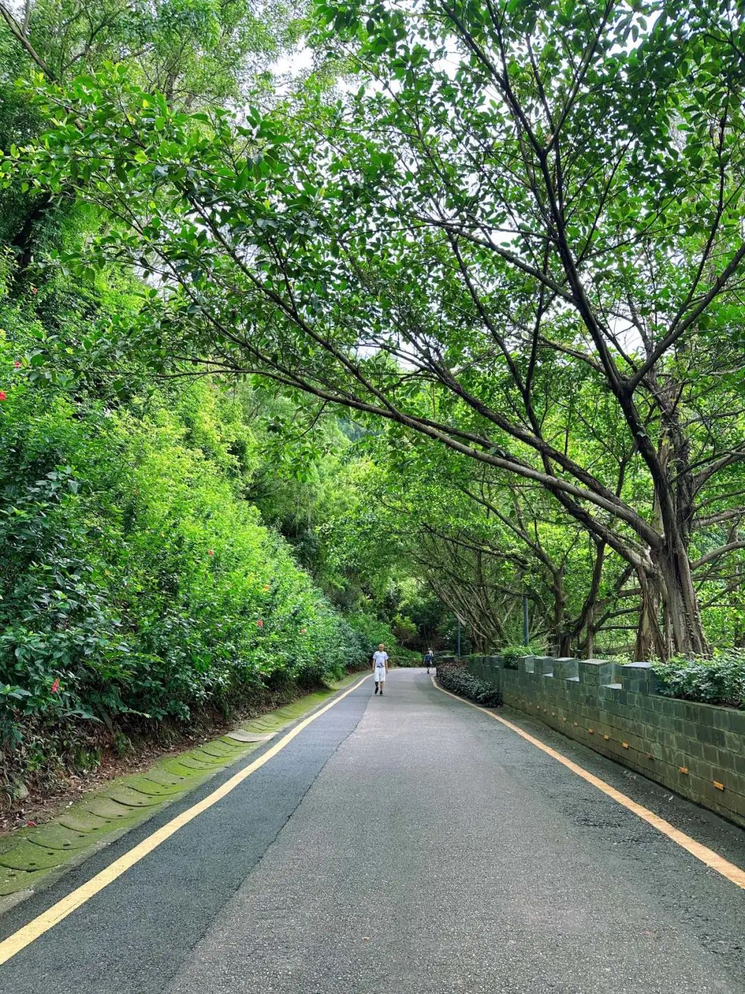 Shenzhen Tonglang Mountain Country Park