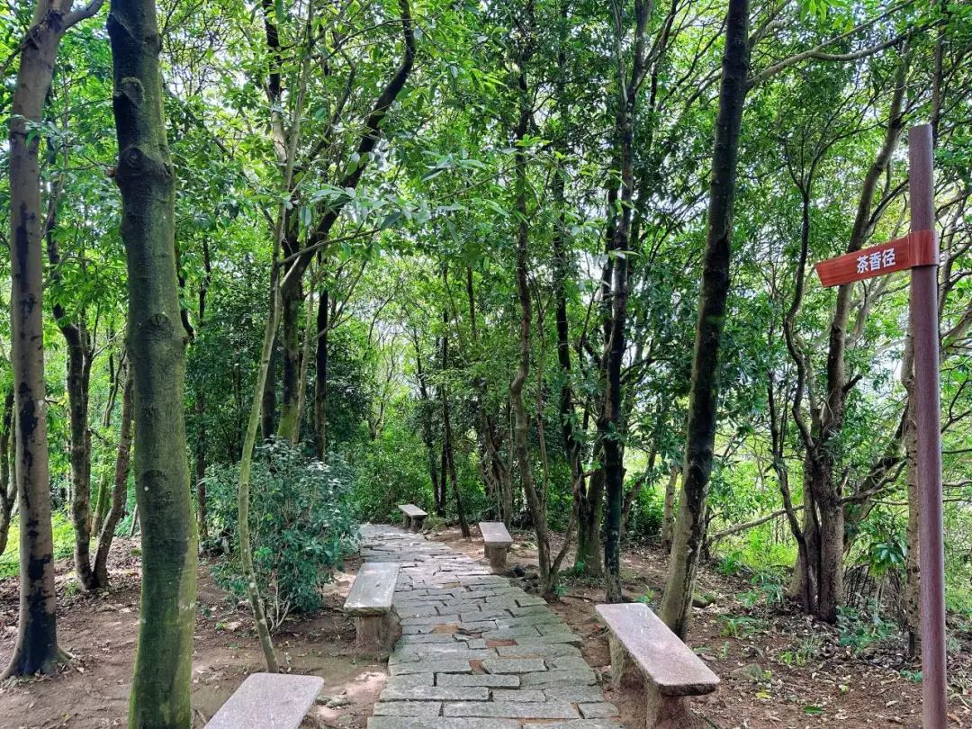 Shenzhen Tonglang Mountain Country Park