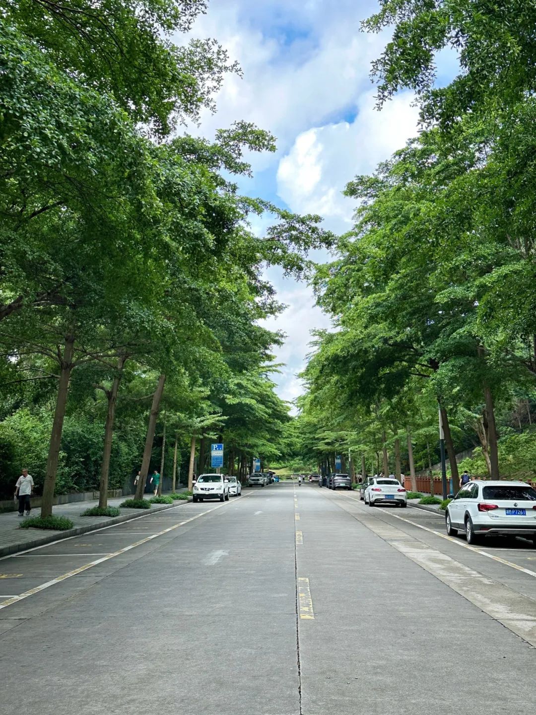 Shenzhen Tonglang Mountain Country Park