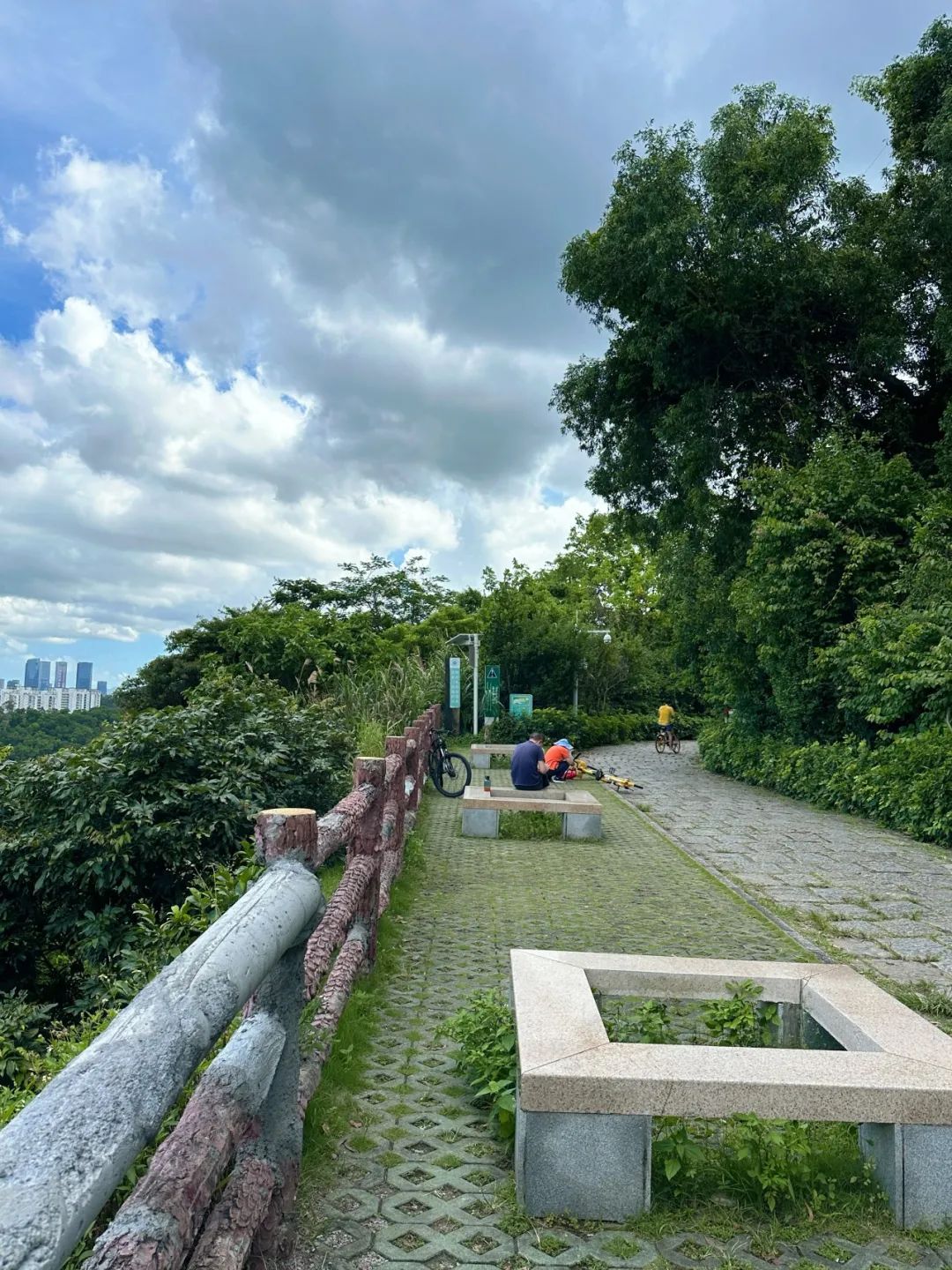 Meilin Greenway, Super cozy forest greenway!