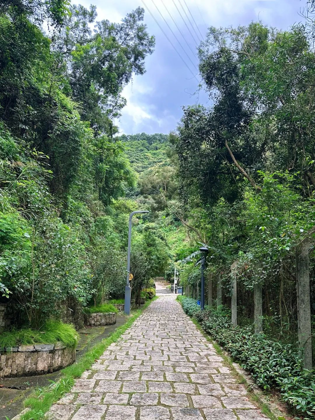 Meilin Greenway, Super cozy forest greenway!