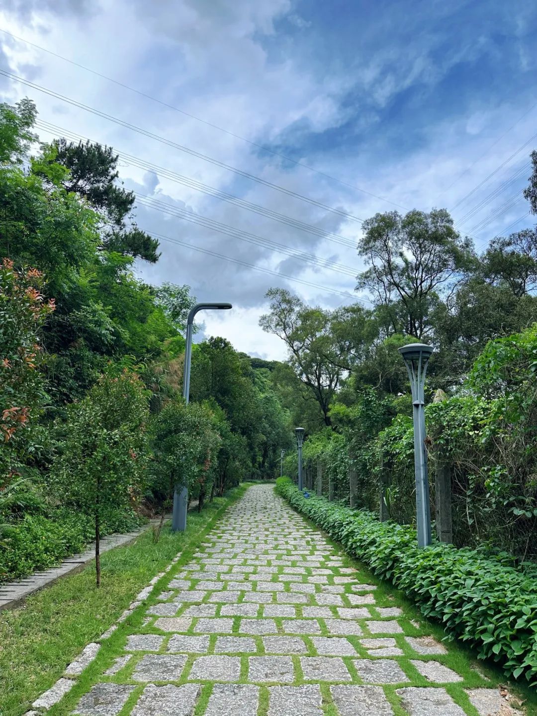 Meilin Greenway, Super cozy forest greenway!