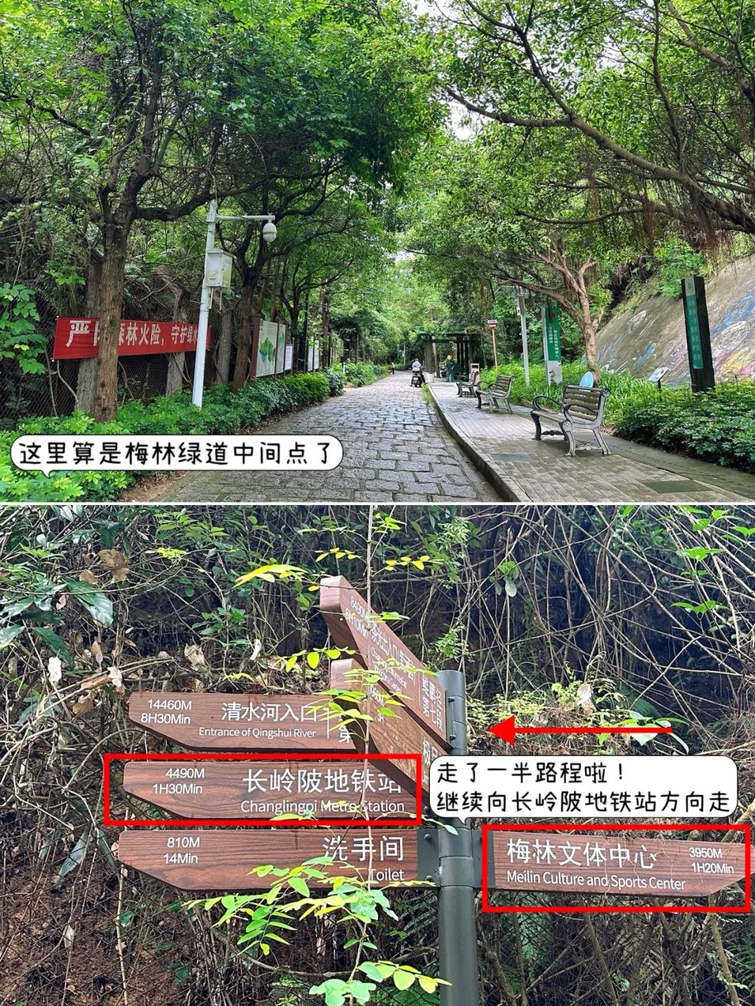 Meilin Greenway, Super cozy forest greenway!