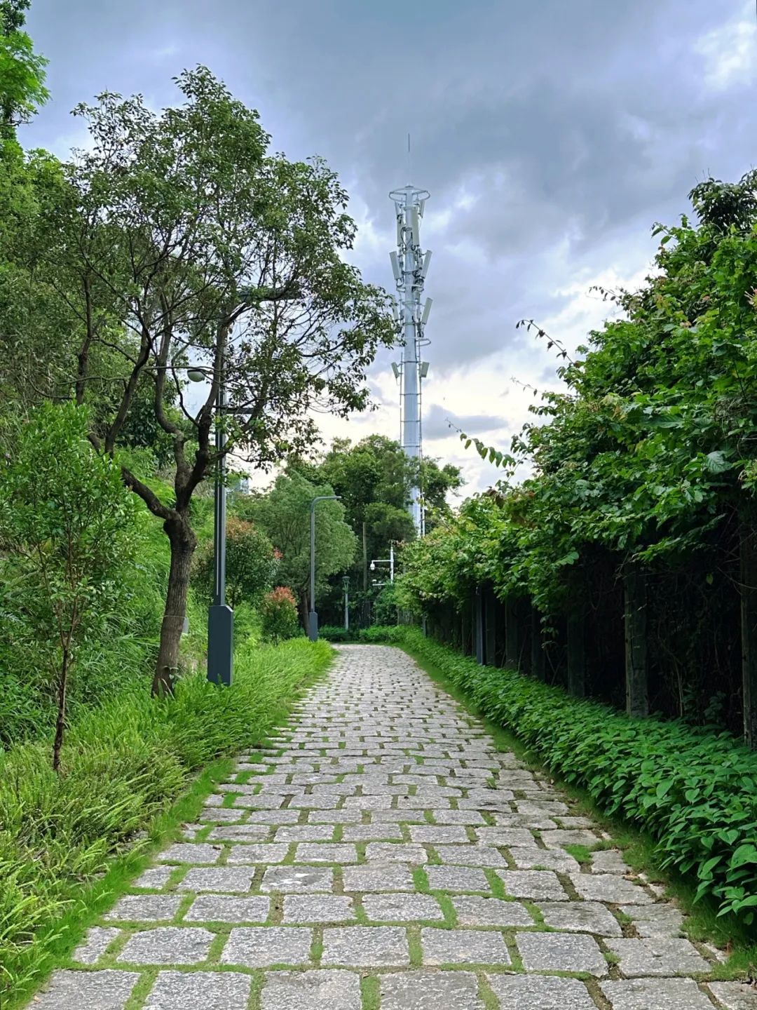 Meilin Greenway, Super cozy forest greenway!