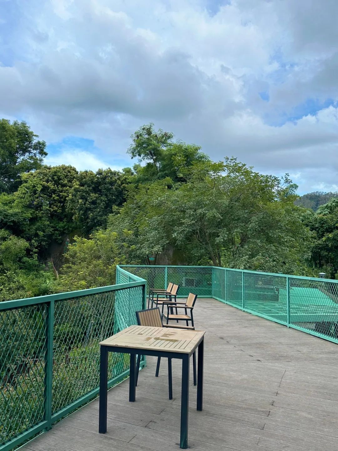 Meilin Greenway, Super cozy forest greenway!