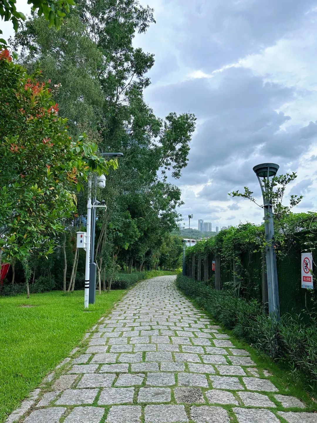 Meilin Greenway, Super cozy forest greenway!