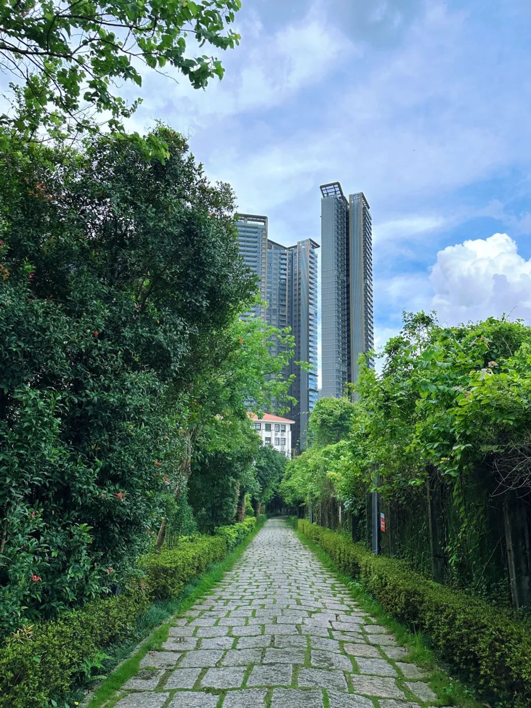 Meilin Greenway, Super cozy forest greenway!