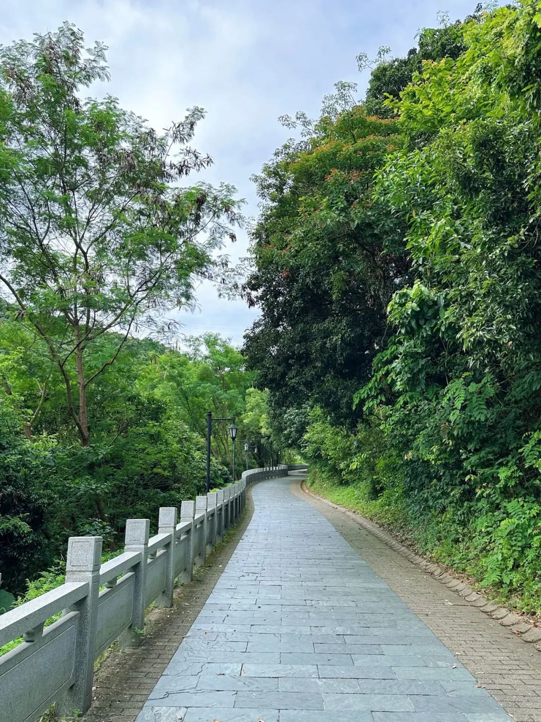 Meilin Greenway, Super cozy forest greenway!