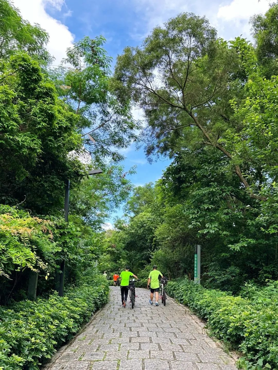 Meilin Greenway, Super cozy forest greenway!