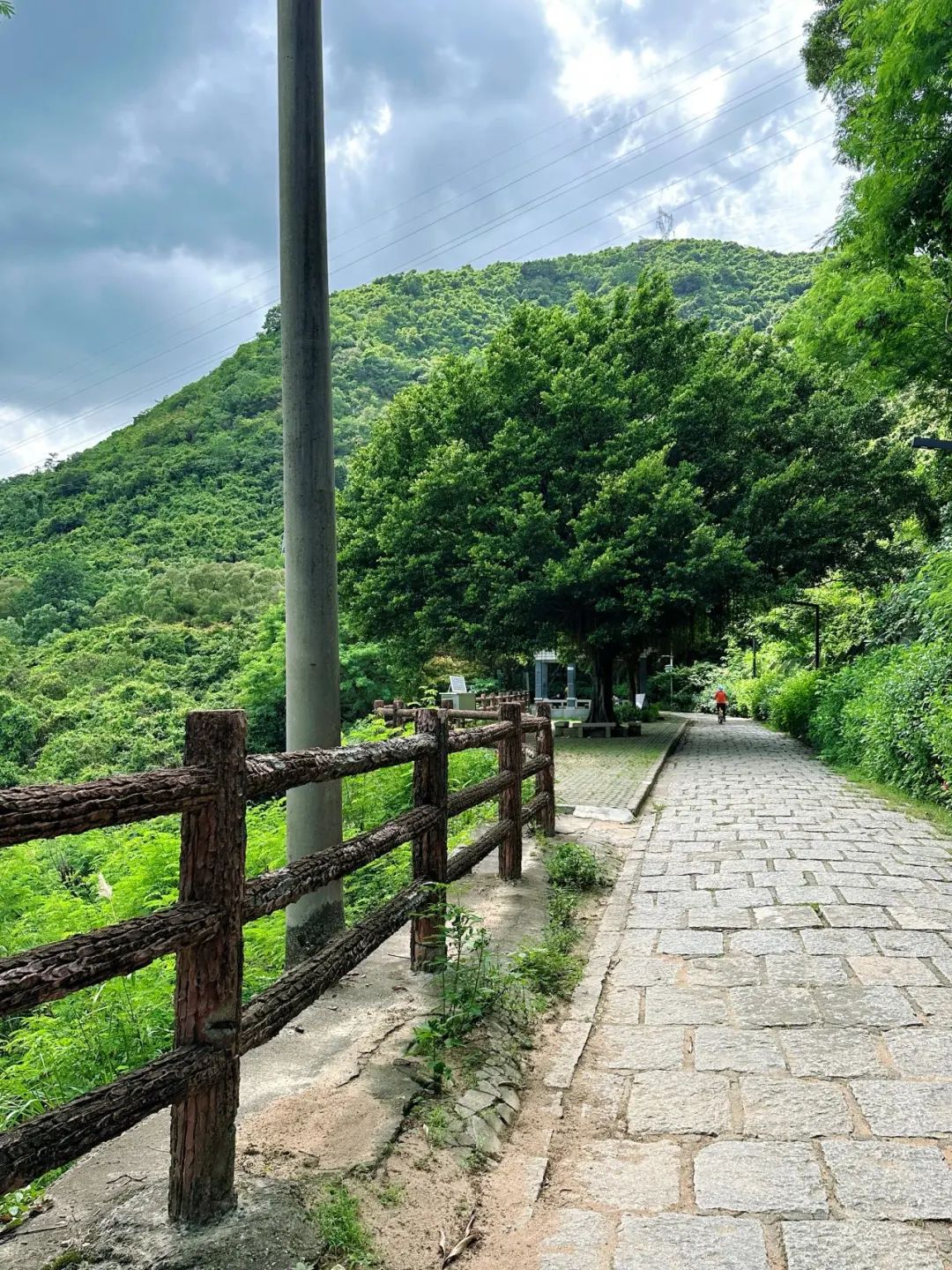 Meilin Greenway, Super cozy forest greenway!