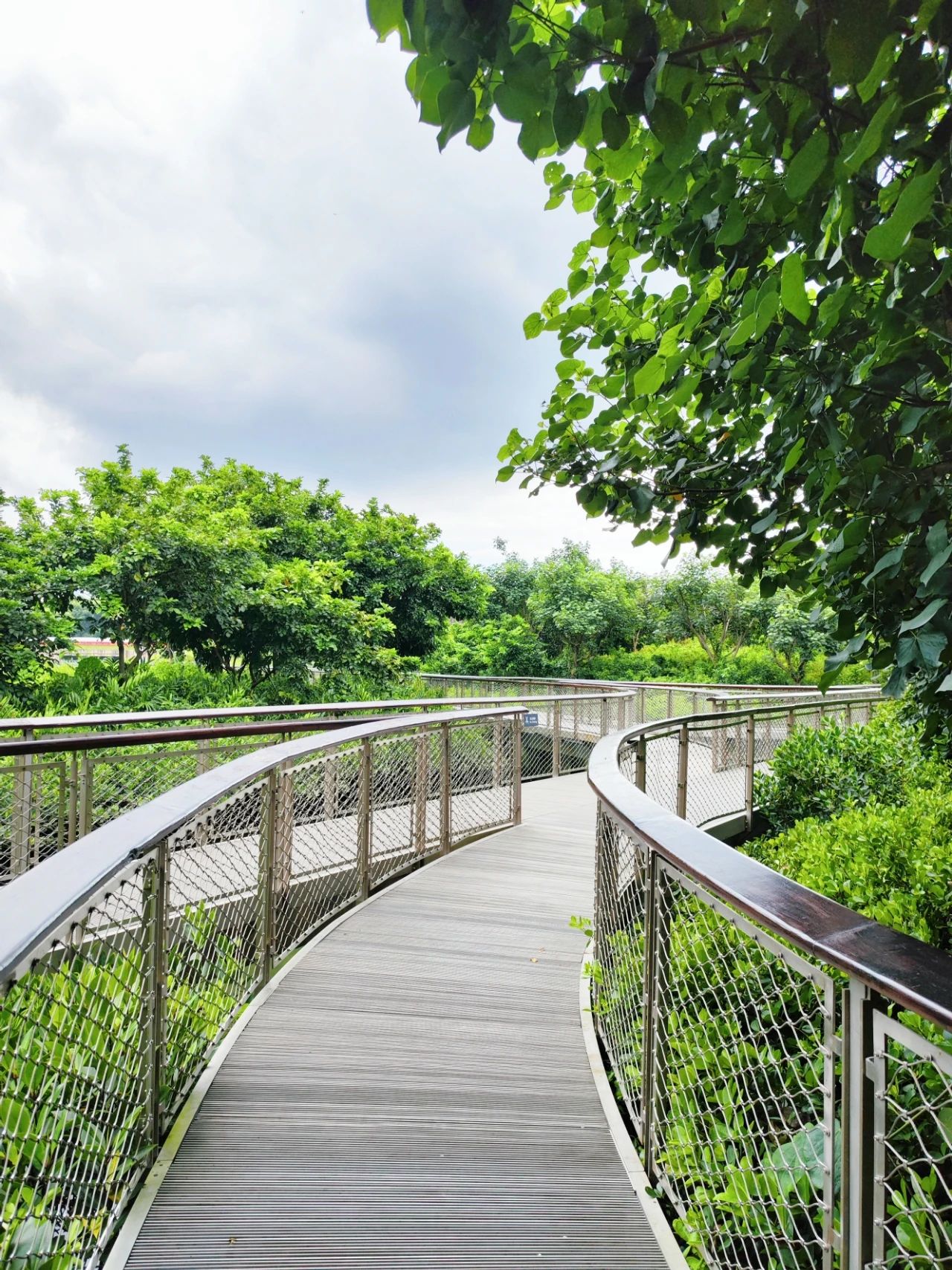 Out-of-Picture Snapshots of Guiwan Park in Qianhai