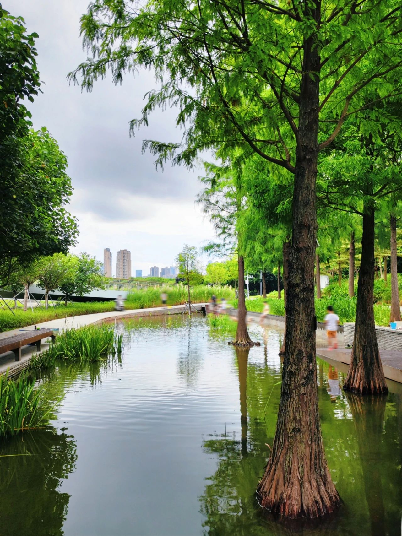 Out-of-Picture Snapshots of Guiwan Park in Qianhai