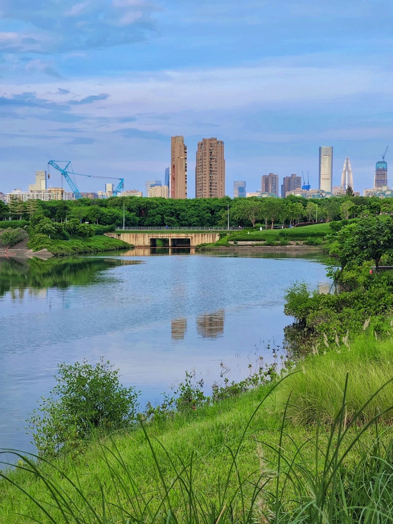 Out-of-Picture Snapshots of Guiwan Park in Qianhai