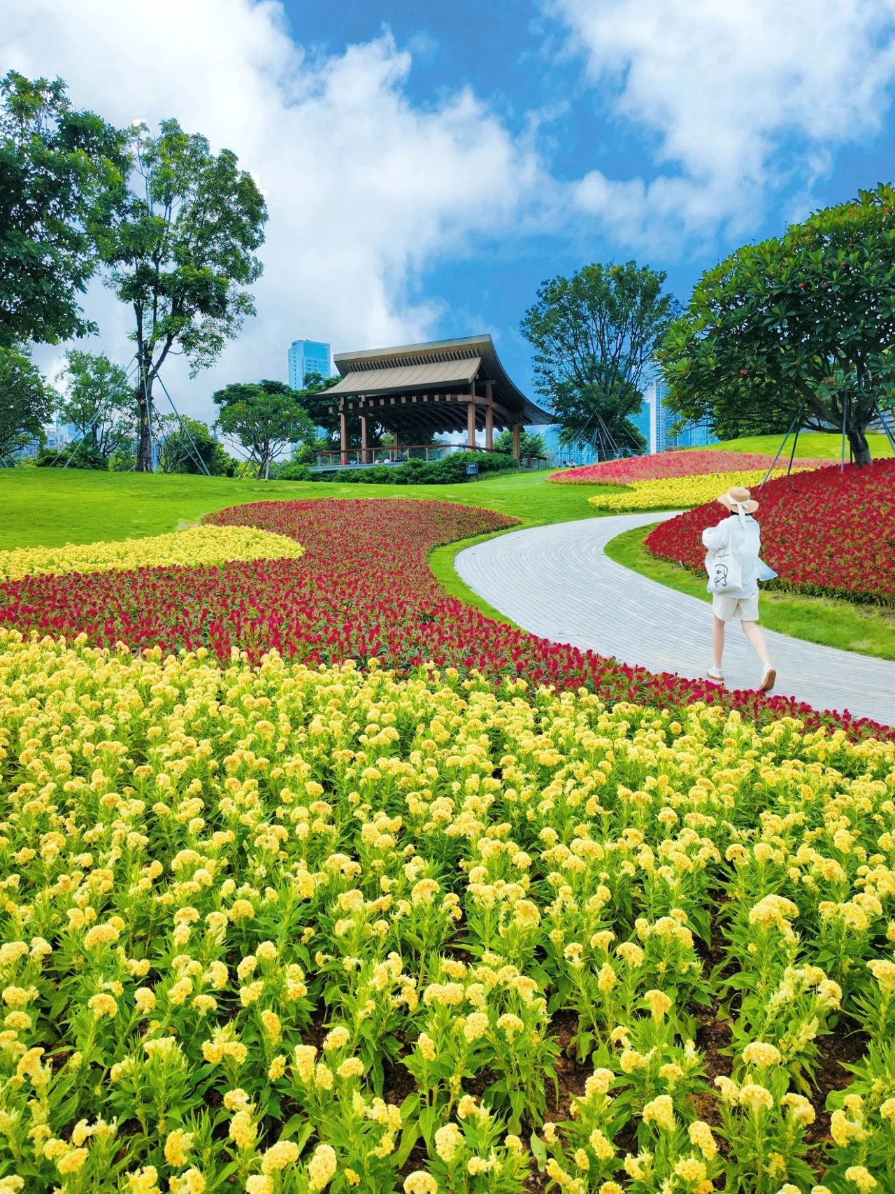 Out-of-Picture Snapshots of Guiwan Park in Qianhai