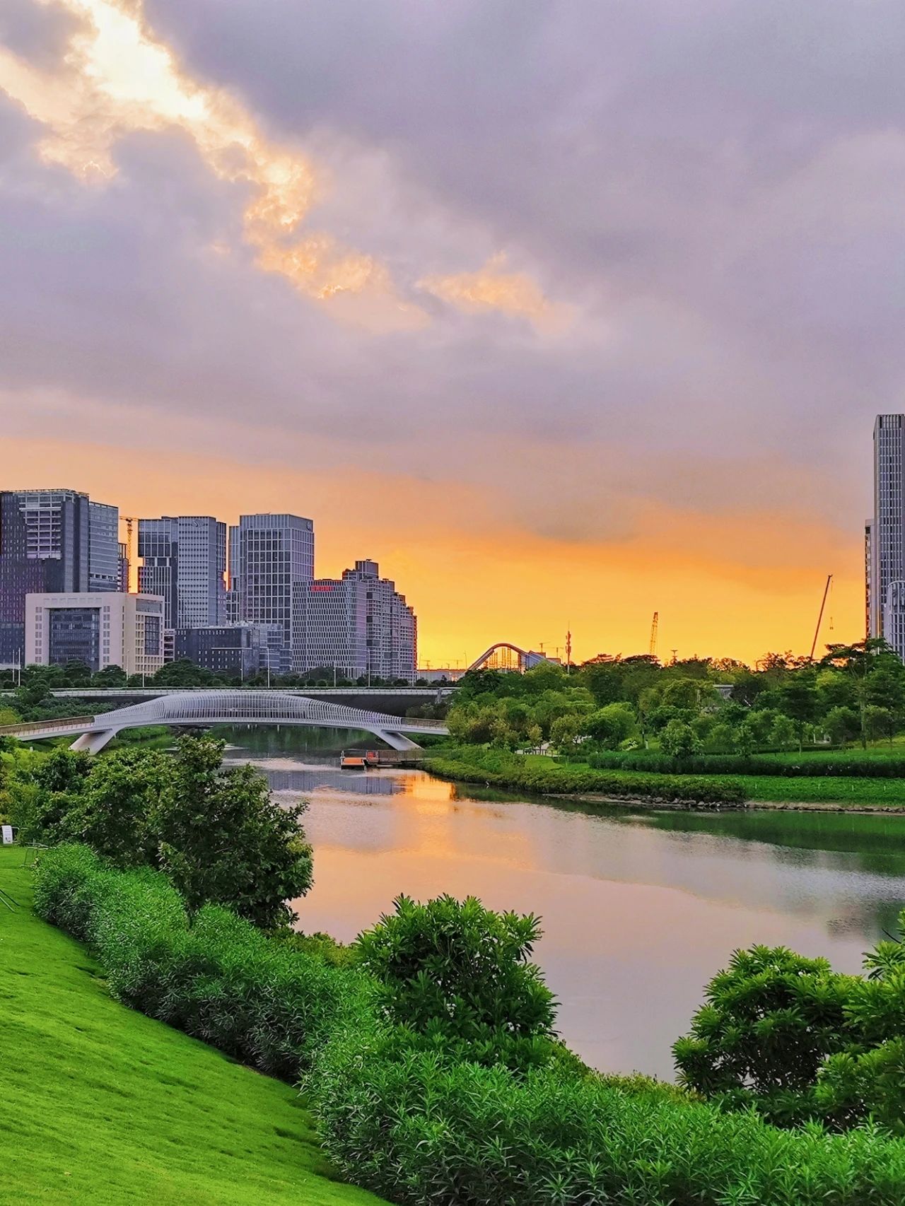 Out-of-Picture Snapshots of Guiwan Park in Qianhai