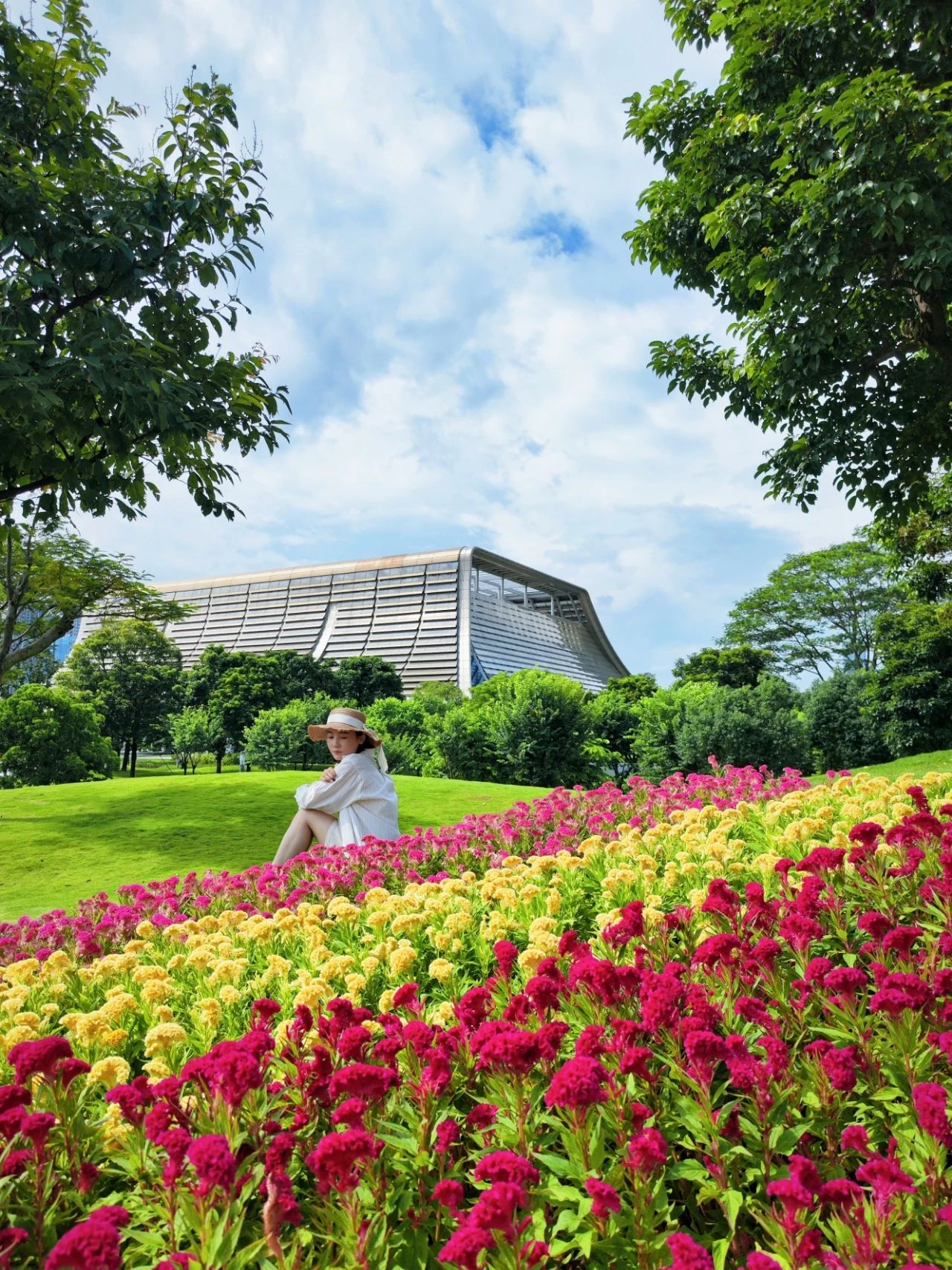 Out-of-Picture Snapshots of Guiwan Park in Qianhai