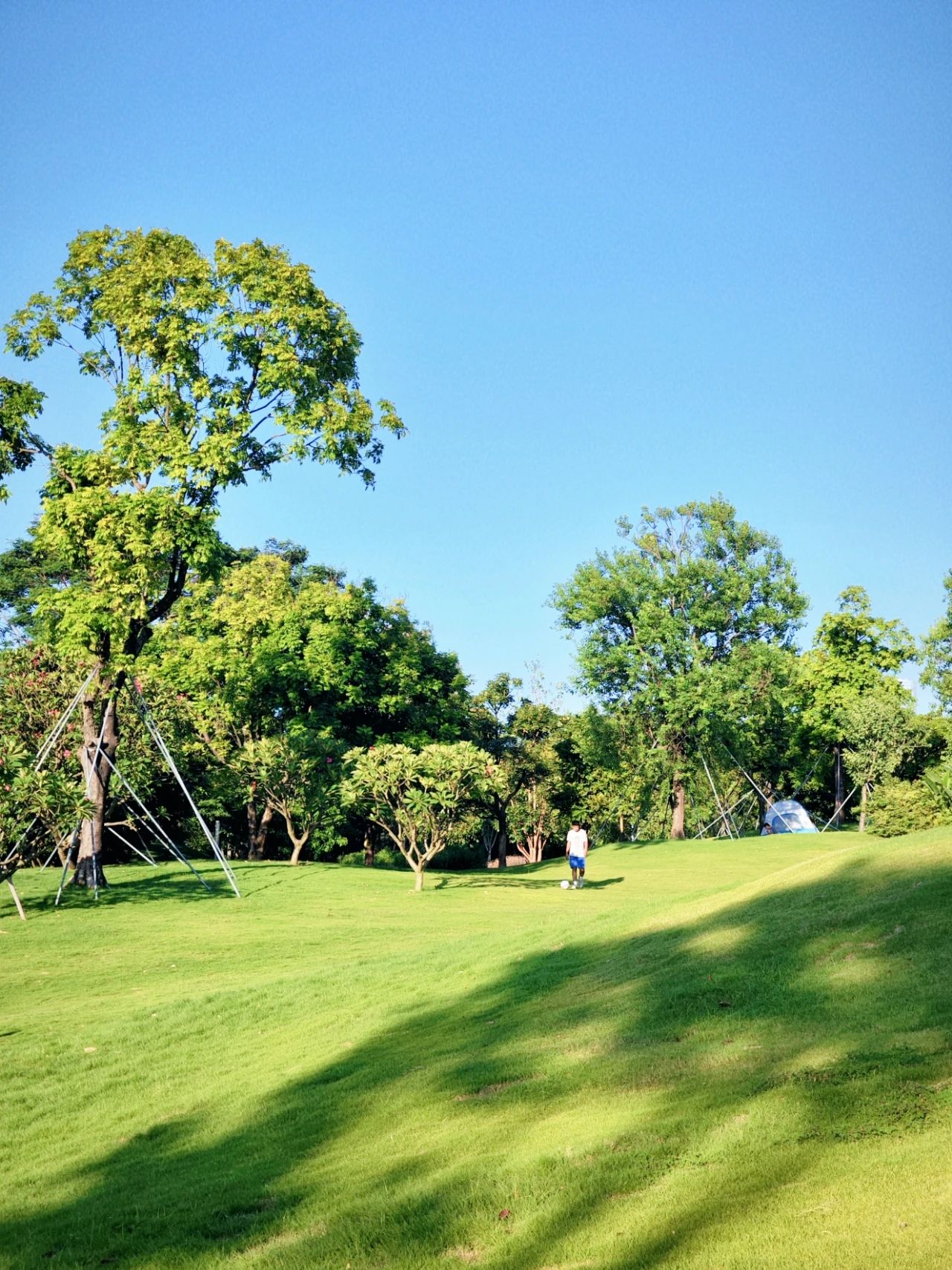 Out-of-Picture Snapshots of Guiwan Park in Qianhai